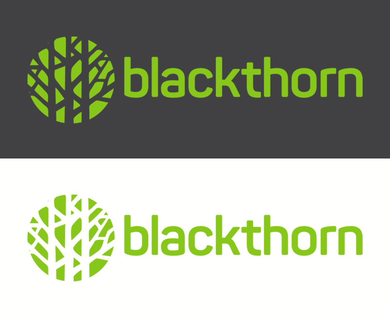 Blackthorn modern corporate logo design