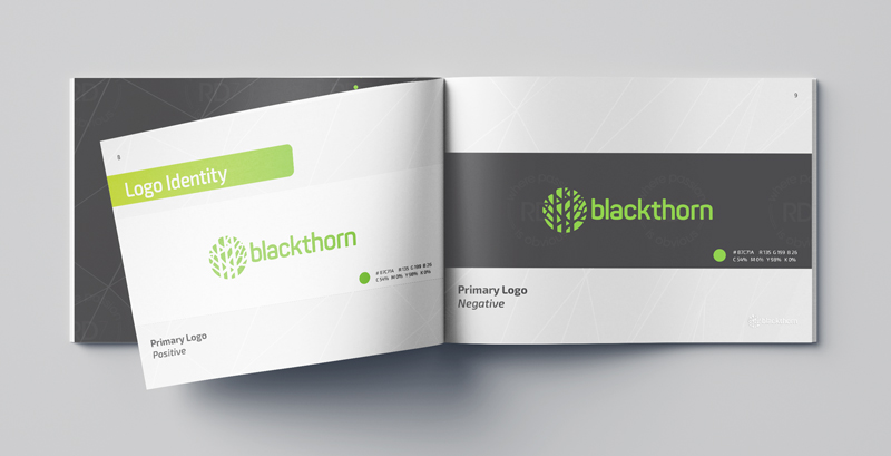blackthorn corporate freelance graphic designer